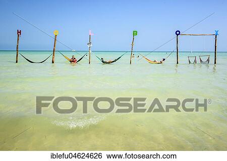 Tourists in hammocks on a beach, Isla Holbox, Quintana Roo, Mexico, Central America View Large Photo Image Stock Photograph - Tourists in hammocks on a beach, Isla Holbox, Quintana Roo, Mexico, Central America. Fotosearch