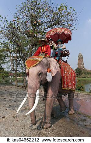 Tourists ride on decorated elephant in Ayutthaya Historical Park, Ayutthaya, Thailand, Asia View Large Photo Image Stock Image - Tourists ride on decorated elephant in Ayutthaya Historical Park, Ayutthaya, Thailand, Asia. Fotosearch