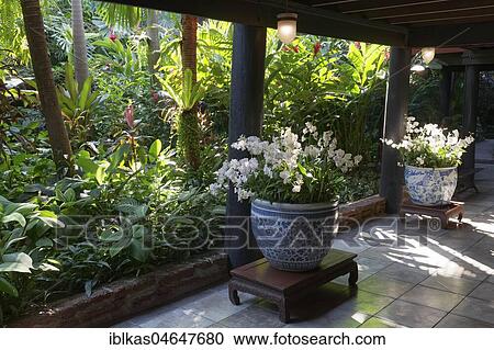Traditional Thai wooden house on stilts, garden view, Jim Thompson House Museum, Pathum Wan, Bangkok, Thailand, Asia View Large Photo Image Stock Image - Traditional Thai wooden house on stilts, garden view, Jim Thompson House Museum, Pathum Wan, Bangkok, Thailand, Asia. Fotosearch