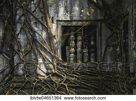 Picture - Tree root overgrown window of a Khmer temple ruin, Prasat Beng Mealea, Beng Mealea, temple complex, Angkor Wat, Angkor Archaeological Park, Siem Reap Province, Cambodia, Asia. Fotosearch