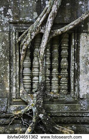 Tree root overgrown window of a Khmer temple ruin, Prasat Beng Mealea, Beng Mealea, temple complex, Angkor Wat, Angkor Archaeological Park, Siem Reap Province, Cambodia, Asia View Large Photo Image Stock Image - Tree root overgrown window of a Khmer temple ruin, Prasat Beng Mealea, Beng Mealea, temple complex, Angkor Wat, Angkor Archaeological Park, Siem Reap Province, Cambodia, Asia. Fotosearch