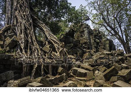 Tree-rooted Khmer Temple Ruin, Prasat Beng Mealea, Beng Mealea, Temple complex, Angkor Wat, Angkor Archaeological Park, Siem Reap Province, Cambodia, Asia View Large Photo Image Stock Photography - Tree-rooted Khmer Temple Ruin, Prasat Beng Mealea, Beng Mealea, Temple complex, Angkor Wat, Angkor Archaeological Park, Siem Reap Province, Cambodia, Asia. Fotosearch