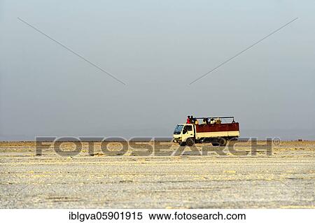 Truck drives with workers from the salt mine across the Assale Salt Lake to Hamadela, Danakil Depression, Afar Region, Ethiopia, Africa View Large Photo Image Stock Photography - Truck drives with workers from the salt mine across the Assale Salt Lake to Hamadela, Danakil Depression, Afar Region, Ethiopia, Africa. Fotosearch