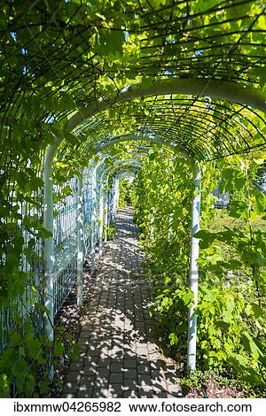 Stock Image - Tunnel aus Pflanzen auf dem Dach der Bibliothek von Warschau, Aussenanlage, Warschau, Masowien, Polen, Europa. Fotosearch