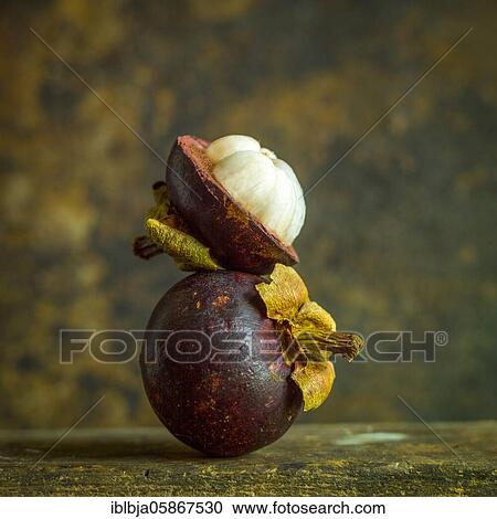 Two mangosteens, studio shot, France, Europe View Large Photo Image Stock Image - Two mangosteens, studio shot, France, Europe. Fotosearch