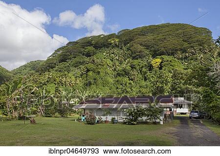 Typical detached house, free-standing, hill, green, Tahiti, French Polynesia, Oceania View Large Photo Image Stock Image - Typical detached house, free-standing, hill, green, Tahiti, French Polynesia, Oceania. Fotosearch