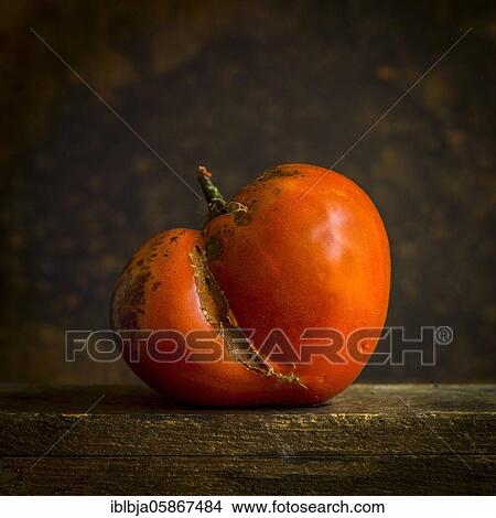 Ugly tomato, studio shot, France, Europe View Large Photo Image Picture - Ugly tomato, studio shot, France, Europe. Fotosearch