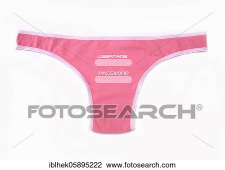 Stock Image - Underwear, ladies' briefs with username and password, Berlin, Germany, Europe. Fotosearch