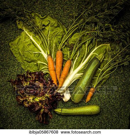 Variety of vegetables on a green background, studio shot, France, Europe View Large Photo Image Stock Photo - Variety of vegetables on a green background, studio shot, France, Europe. Fotosearch