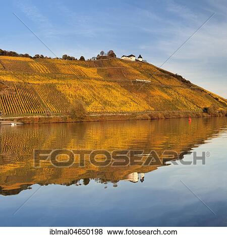 Stock Photo - View of Marienburg Castle over vineyards in autumn, Pünderich, Moselle, Rhineland-Palatinate, Germany, Europe. Fotosearch