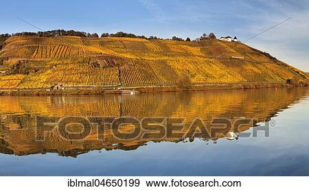 View of Marienburg Castle over vineyards in autumn, Pünderich, Moselle, Rhineland-Palatinate, Germany, Europe View Large Photo Image Stock Photo - View of Marienburg Castle over vineyards in autumn, Pünderich, Moselle, Rhineland-Palatinate, Germany, Europe. Fotosearch