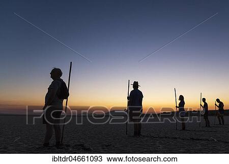 Volunteers at dawn at the Laguna de Fuente de Piedra, waiting for the start of the immature Greater Flamingo (Phoenicopterus roseus) capture event in order to ring them, Malaga province, Andalusia, Spain, Europe View Large Photo Image Stock Image - Volunteers at dawn at the Laguna de Fuente de Piedra, waiting for the start of the immature Greater Flamingo (Phoenicopterus roseus) capture event in order to ring them, Malaga province, Andalusia, Spain, Europe. Fotosearch