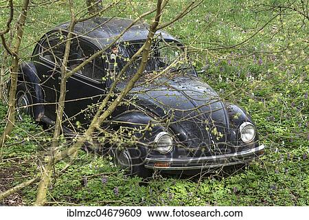 VW Beetle, 1960s, parked in a garden, Bavaria, Germany, Europe View Large Photo Image Stock Photo - VW Beetle, 1960s, parked in a garden, Bavaria, Germany, Europe. Fotosearch