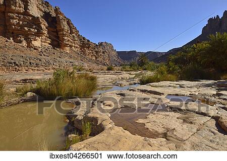 Wasser in der Iherir Schlucht, Iherir Canyon, Tassili n'Ajjer Nationalpark, UNESCO Weltnaturerbe, Sahara, Algerien, Afrika View Large Photo Image Stock Image - Wasser in der Iherir Schlucht, Iherir Canyon, Tassili n'Ajjer Nationalpark, UNESCO Weltnaturerbe, Sahara, Algerien, Afrika. Fotosearch