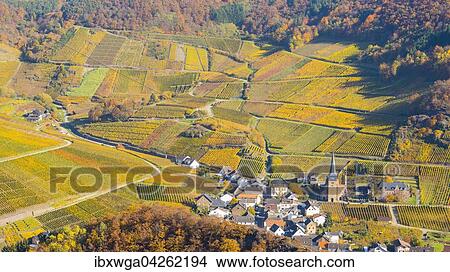 Weinberge im Herbst, Mayschoss, Rotweinanbaugebiet Ahrtal, Eifel, Rheinland-Pfalz, Deutschland, Europa View Large Photo Image Picture - Weinberge im Herbst, Mayschoss, Rotweinanbaugebiet Ahrtal, Eifel, Rheinland-Pfalz, Deutschland, Europa. Fotosearch