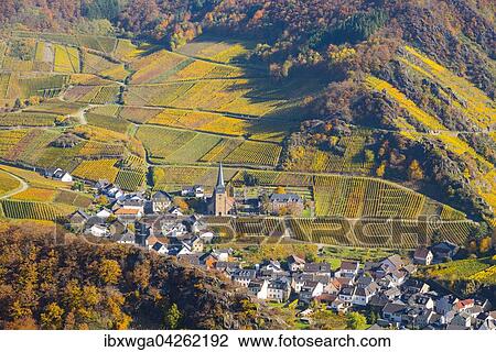 Weinberge im Herbst, Mayschoss, Rotweinanbaugebiet Ahrtal, Eifel, Rheinland-Pfalz, Deutschland, Europa View Large Photo Image Stock Image - Weinberge im Herbst, Mayschoss, Rotweinanbaugebiet Ahrtal, Eifel, Rheinland-Pfalz, Deutschland, Europa. Fotosearch