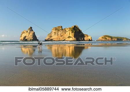 Wharariki Beach at sunset, Oceania, Golden Bay, Tasman, South Island, New Zealand, Oceania View Large Photo Image Picture - Wharariki Beach at sunset, Oceania, Golden Bay, Tasman, South Island, New Zealand, Oceania. Fotosearch
