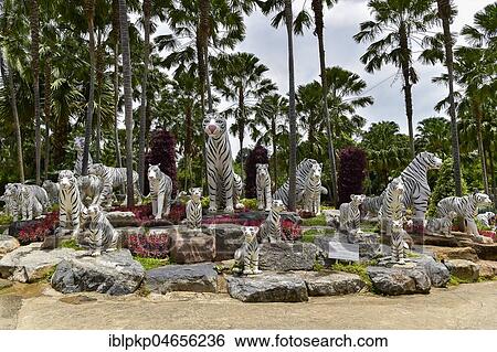 Stock Photograph - White Tiger Figures, Nong Nooch Tropical Botanical Garden, Pattaya, Thailand, Asia. Fotosearch