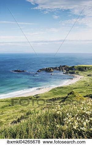 Whitepark Bay, Meeresbucht mit Sandstrand, County Antrim, Nordirland, Vereinigtes Konigreich View Large Photo Image Stock Photo - Whitepark Bay, Meeresbucht mit Sandstrand, County Antrim, Nordirland, Vereinigtes Konigreich. Fotosearch