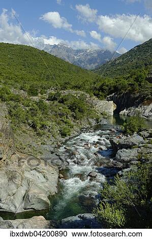 Wildes Flussbett des Fango oder Fangu, bei Galeria, Departement Haute-Corse, Korsika, Frankreich, Europa View Large Photo Image Stock Image - Wildes Flussbett des Fango oder Fangu, bei Galeria, Departement Haute-Corse, Korsika, Frankreich, Europa. Fotosearch