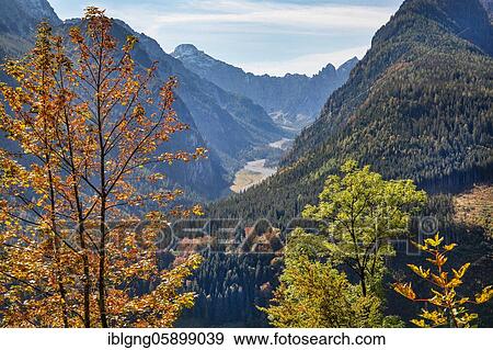 Wimbachtal with Wimbachgries and Palfelhorn, Ramsau, Berchtesgaden National Park, Berchtesgaden Alps, Berchtesgadener Land, Upper Bavaria, Bavaria, Germany, Europe View Large Photo Image Stock Photo - Wimbachtal with Wimbachgries and Palfelhorn, Ramsau, Berchtesgaden National Park, Berchtesgaden Alps, Berchtesgadener Land, Upper Bavaria, Bavaria, Germany, Europe. Fotosearch