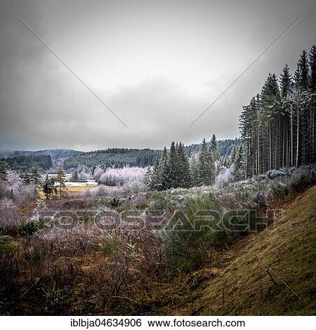 Winter landscape, Livradois-Forez Natural Park, Auvergne-Rhône-Alpes. France View Large Photo Image Stock Photograph - Winter landscape, Livradois-Forez Natural Park, Auvergne-Rhône-Alpes. France. Fotosearch