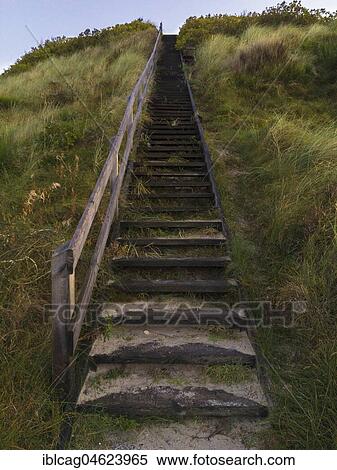 Stock Photography - Wooden stair to the lookout on a sand dune, Henne Strand, Syddanmark, Denmark, Europe. Fotosearch
