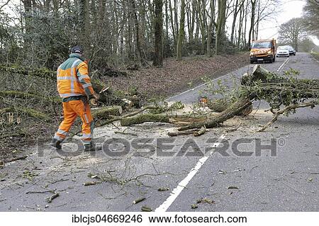Worker clears tree from the road after a storm, Bergisches Land, Germany, Europe View Large Photo Image Stock Photograph - Worker clears tree from the road after a storm, Bergisches Land, Germany, Europe. Fotosearch
