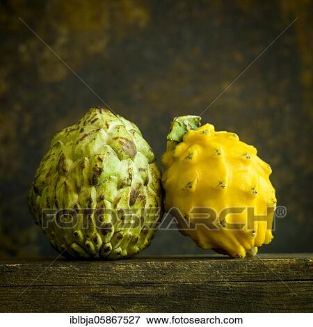 Yellow Pitaya Hylocereus and Fruit of annona squamosa, studio shot, France, Europe View Large Photo Image Stock Photo - Yellow Pitaya Hylocereus and Fruit of annona squamosa, studio shot, France, Europe. Fotosearch