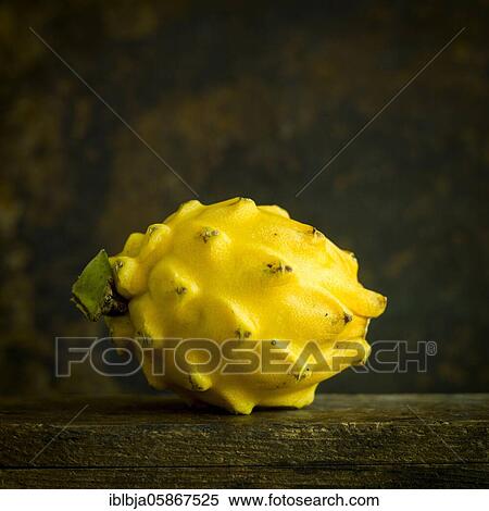 Stock Photography - Yellow Pitaya Hylocereus, studio shot, France, Europe. Fotosearch