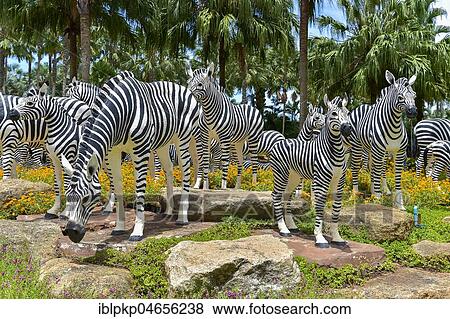 Stock Photo - Zebra figures, Nong Nooch Tropical Botanical Garden, Pattaya, Thailand, Asia. Fotosearch