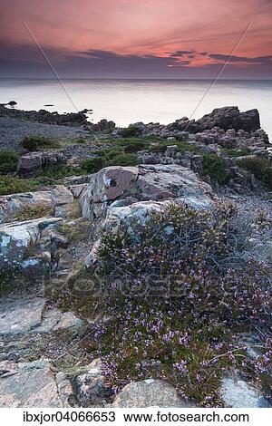 Abendstimmung am Kustenabschnitt Hovs Hallar, Naturschutzgebiet, Bjarehalvon Halbinsel, Bastad, Skane lan, Schweden, Europa View Large Photo Image Stock Image - Abendstimmung am Kustenabschnitt Hovs Hallar, Naturschutzgebiet, Bjarehalvon Halbinsel, Bastad, Skane lan, Schweden, Europa. Fotosearch