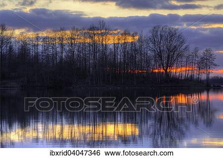 Stock Photograph - Abendstimmung am See mit Baumen, Alpen-Menzelen, Nordrhein-Westfalen, Deutschland, Europa. Fotosearch