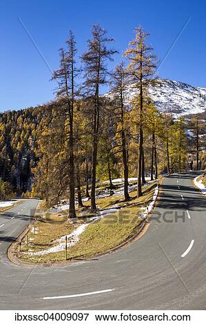 Albula-Passstrasse, Herbst, Engadin, Kanton Graubunden, Schweiz, Europa View Large Photo Image Stock Photo - Albula-Passstrasse, Herbst, Engadin, Kanton Graubunden, Schweiz, Europa. Fotosearch