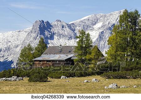 Stock Photo - Almhutte vor dem Berg Grosser Priel, Hutterer Hoss, Totes Gebirge, Oberosterreich, Osterreich, Europa. Fotosearch