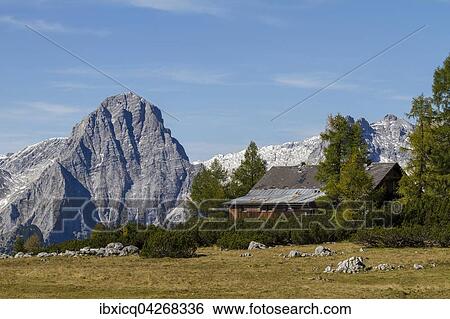 Almhutte vor dem Berg Spitzmauer, Hutterer Hoss, Totes Gebirge, Oberosterreich, Osterreich, Europa View Large Photo Image Stock Photograph - Almhutte vor dem Berg Spitzmauer, Hutterer Hoss, Totes Gebirge, Oberosterreich, Osterreich, Europa. Fotosearch