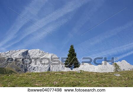Stock Photo - Almlandschaft mit Hochkonig, Wandergebiet, Muhlbach am Hochkonig, Land Salzburg, Osterreich, Europa. Fotosearch