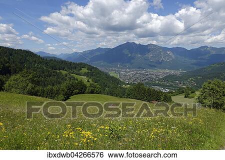 Almwiesen, Buckelwiesen zwischen Wamberg und Eckbauer, hinten Wetterstein Gebirge mit Alpspitze und Zugspitze, Garmisch-Partenkirchen, Werdenfelser Land, Oberbayern, Bayern, Deutschland, Europa View Large Photo Image Stock Photograph - Almwiesen, Buckelwiesen zwischen Wamberg und Eckbauer, hinten Wetterstein Gebirge mit Alpspitze und Zugspitze, Garmisch-Partenkirchen, Werdenfelser Land, Oberbayern, Bayern, Deutschland, Europa. Fotosearch