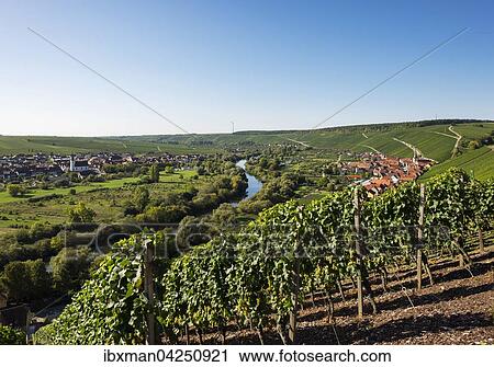 Alter Main in der Mainschleife bei Volkach, links Nordheim am Main, rechts Escherndorf, Mainfranken, Unterfranken, Franken, Bayern, Deutschland, Europa View Large Photo Image Stock Image - Alter Main in der Mainschleife bei Volkach, links Nordheim am Main, rechts Escherndorf, Mainfranken, Unterfranken, Franken, Bayern, Deutschland, Europa. Fotosearch
