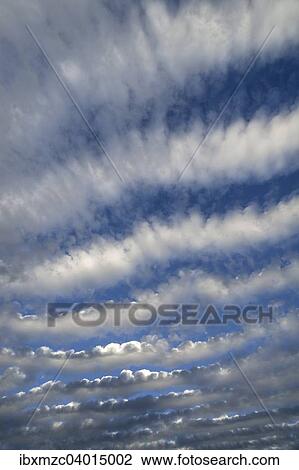 Altocumulus stratiformis perlucidus undulatus Wolken, Schleswig-Holstein, Deutschland, Europa View Large Photo Image Stock Image - Altocumulus stratiformis perlucidus undulatus Wolken, Schleswig-Holstein, Deutschland, Europa. Fotosearch