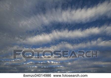 Altocumulus stratiformis perlucidus undulatus Wolken, Schleswig-Holstein, Deutschland, Europa View Large Photo Image Stock Photograph - Altocumulus stratiformis perlucidus undulatus Wolken, Schleswig-Holstein, Deutschland, Europa. Fotosearch