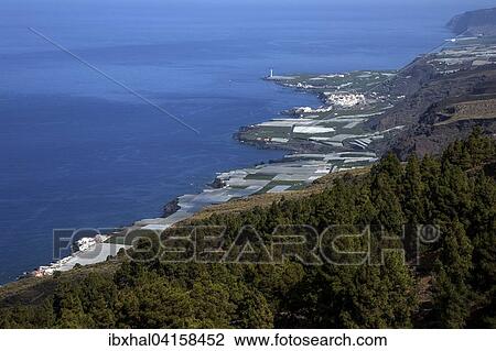 Ausblick auf Bananenplantagen und Puerto Naos, Westkuste, La Palma, Kanarische Inseln, Spanien, Europa View Large Photo Image Stock Image - Ausblick auf Bananenplantagen und Puerto Naos, Westkuste, La Palma, Kanarische Inseln, Spanien, Europa. Fotosearch
