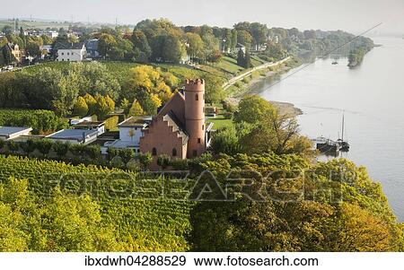 Ausblick auf Burg Crass und den Rhein, Eltville am Rhein, Rheingau, Hessen, Deutschland, Europa View Large Photo Image Stock Photo - Ausblick auf Burg Crass und den Rhein, Eltville am Rhein, Rheingau, Hessen, Deutschland, Europa. Fotosearch