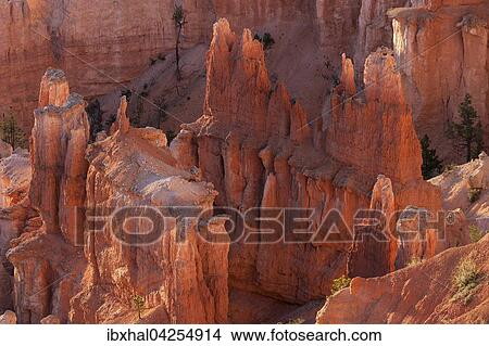 Ausblick auf farbige Gesteinsformationen, Hoodoos, Morgenlicht, Bryce Canyon Nationalpark, Utah, USA, Nordamerika View Large Photo Image Picture - Ausblick auf farbige Gesteinsformationen, Hoodoos, Morgenlicht, Bryce Canyon Nationalpark, Utah, USA, Nordamerika. Fotosearch