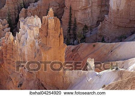 Ausblick auf farbige Gesteinsformationen, Hoodoos, Morgenlicht, Bryce Canyon Nationalpark, Utah, USA, Nordamerika View Large Photo Image Stock Image - Ausblick auf farbige Gesteinsformationen, Hoodoos, Morgenlicht, Bryce Canyon Nationalpark, Utah, USA, Nordamerika. Fotosearch