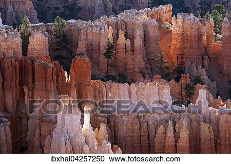 Ausblick auf farbige Gesteinsformationen, Hoodoos, Morgenlicht, Bryce Canyon Nationalpark, Utah, USA, Nordamerika View Large Photo Image Stock Image - Ausblick auf farbige Gesteinsformationen, Hoodoos, Morgenlicht, Bryce Canyon Nationalpark, Utah, USA, Nordamerika. Fotosearch