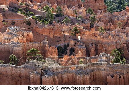 Ausblick auf farbige Gesteinsformationen mit Kiefern, Hoodoos, Morgenlicht, Bryce Canyon Nationalpark, Utah, USA, Nordamerika View Large Photo Image Stock Image - Ausblick auf farbige Gesteinsformationen mit Kiefern, Hoodoos, Morgenlicht, Bryce Canyon Nationalpark, Utah, USA, Nordamerika. Fotosearch