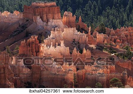 Ausblick auf farbige Gesteinsformationen, Hoodoos, Morgenlicht, Bryce Canyon Nationalpark, Utah, USA, Nordamerika View Large Photo Image Stock Image - Ausblick auf farbige Gesteinsformationen, Hoodoos, Morgenlicht, Bryce Canyon Nationalpark, Utah, USA, Nordamerika. Fotosearch