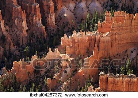 Stock Image - Ausblick auf farbige Gesteinsformationen, Hoodoos, Morgenlicht, Bryce Canyon Nationalpark, Utah, USA, Nordamerika. Fotosearch