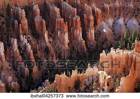 Ausblick auf farbige Gesteinsformationen, Hoodoos, Morgenlicht, Bryce Canyon Nationalpark, Utah, USA, Nordamerika View Large Photo Image Stock Image - Ausblick auf farbige Gesteinsformationen, Hoodoos, Morgenlicht, Bryce Canyon Nationalpark, Utah, USA, Nordamerika. Fotosearch